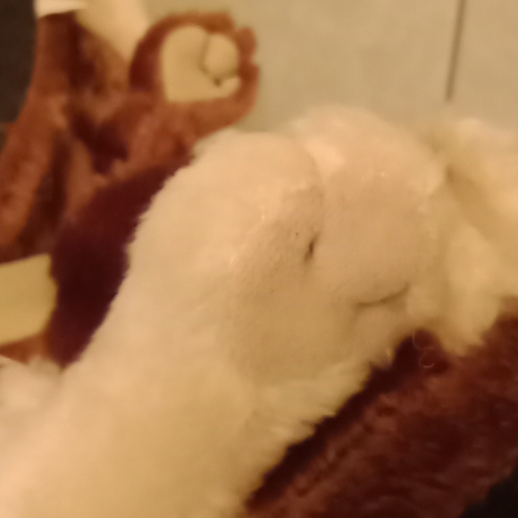 Cute dog slippers 🐕 - Picture 14 of 16